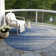  Machine Washable Indoor/Outdoor Chantille ACN996 Area Rug