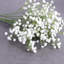 Arrangement floral Baby's Breath-1070477538-1070477547