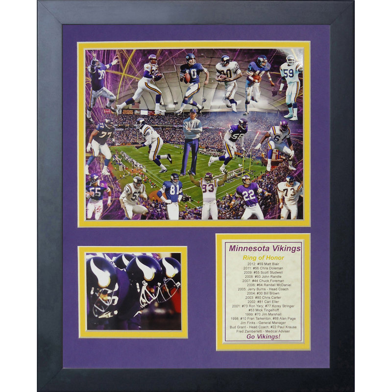 Memorabili encadrée vikings viking greats