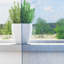 Voile Curtains With Rod Pockets 2 Pcs-964011960-964011906