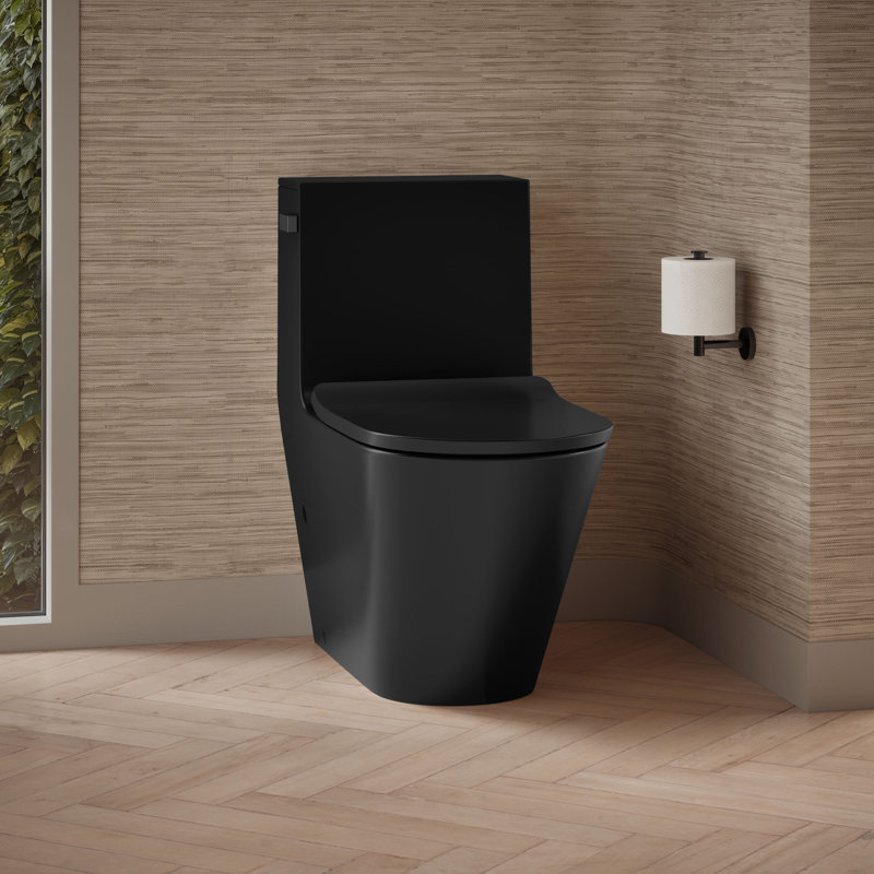Toilette ronde une pièce écoénergétique Brazn 1,28 GPF (siège inclus), Noir sablé