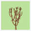 Sherbet Cactus 3 Framed Graphic Art