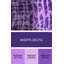 Tapis mauve Jazzlyn-491407177