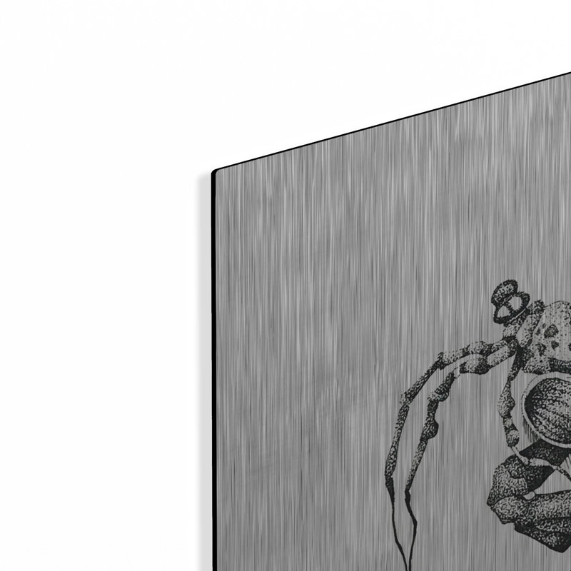 «Crevette mante paon» par Avery Multéri, H 24 po x l 36 po