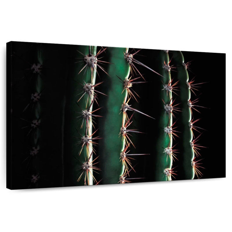 Gros plan d'un cactus épineux, H 34 po x l 51 po