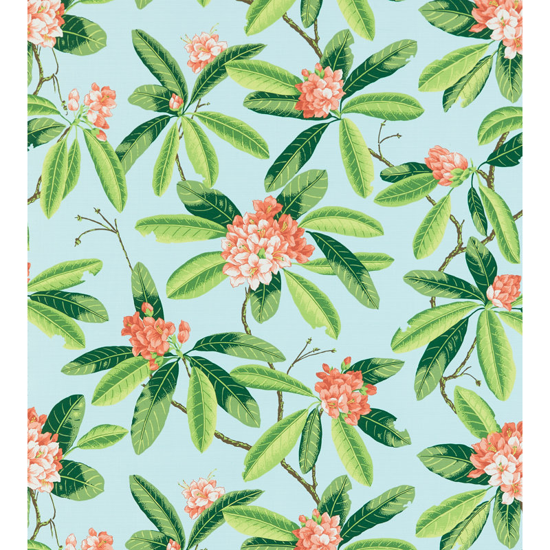 Rhododendron - extérieur, Corail sur turquoise