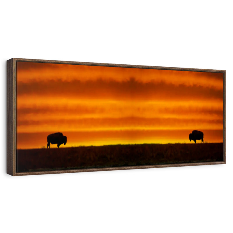 Lever de soleil sur les bisons, 37" X 13", Cadre flottant noyer