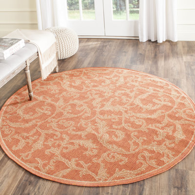 Darri Terracota/Natural Indoor / Outdoor Area Rug