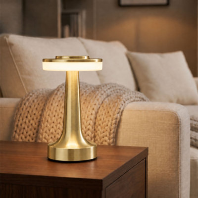 Metal Novelty Lamp