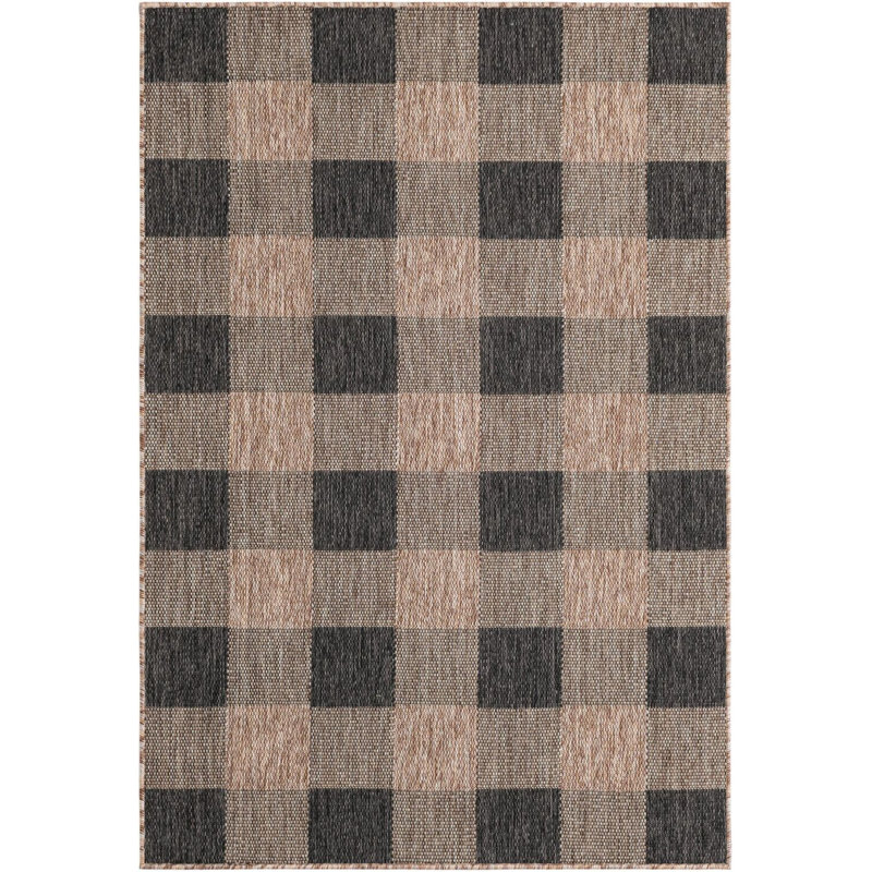 Tapis intérieur / extérieur Borrego , Rectangle 4 pi 1 po x 6 pi 1 po