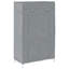 6 Pair Shoe Storage Cabinet