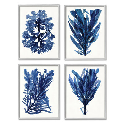Varech bleu océan