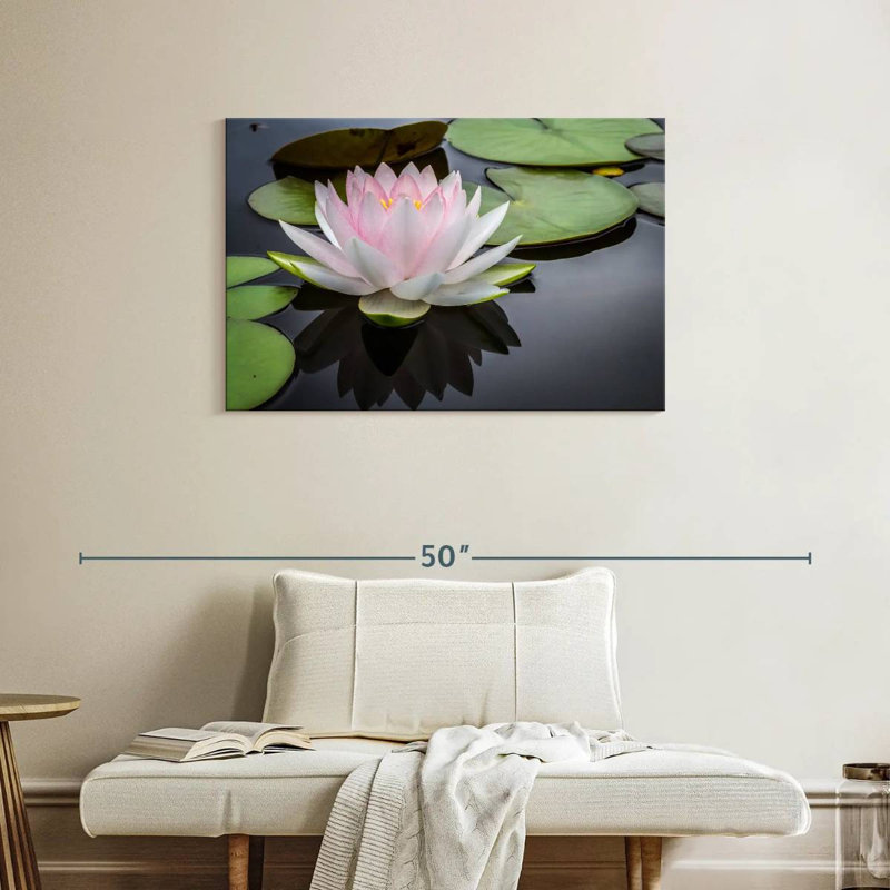 Lotus blanc rosé Harnek, H 24 po x l 36 po