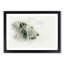 A Lion in Abstract - Picture Frame Graphic Art Print-55629791-55629792