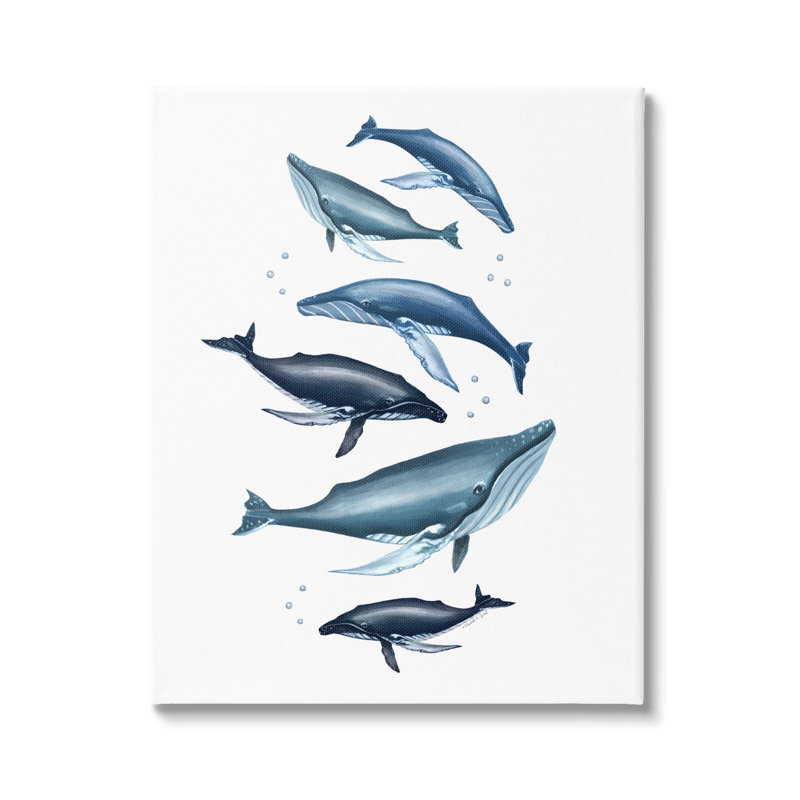 Impression de cadre photo de baleines bleues variées, L 16 po x H 20 po, Toile tendue