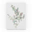 « eucalyptus ii white », reproduction de peinture à l’acrylique sur toile tendue-31872162