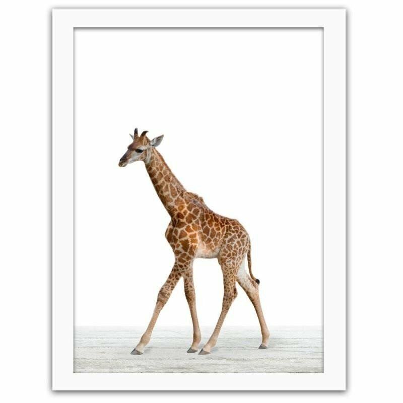 Gerahmtes Poster Giraffe 2