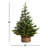 Balsam 3' Pine Christmas Tree