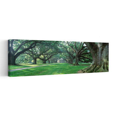 Usa, Louisiana, New Orleans, Oak Alley Plantation, Plantation Home Through Alley Of Oak Trees Abstract Contemporary Forest Landscape Wall Art