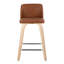 Contemporary Counter Stool