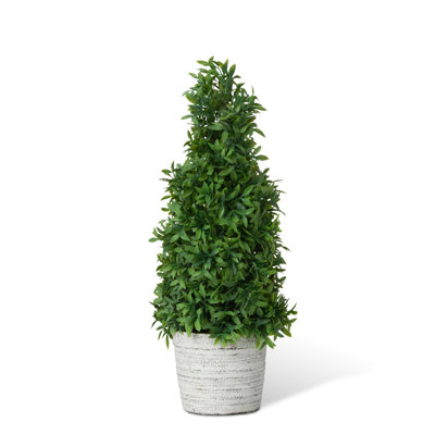 Faux Dracaena Plant