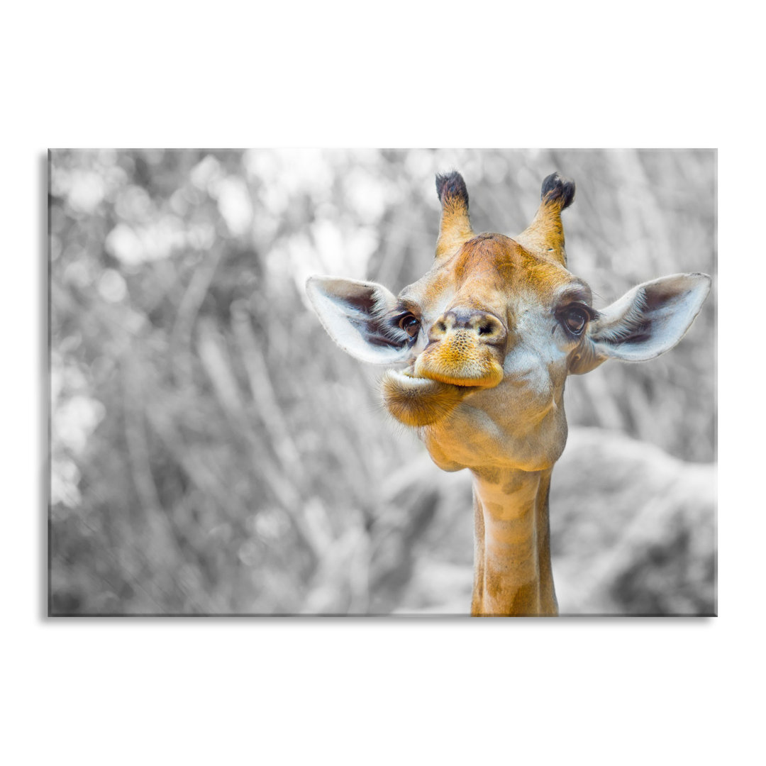 Glasbild Giraffe in der Natur