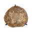 Petite table d'arrosage Arrigo