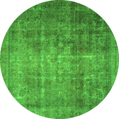 Eliezel Performance Oriental Indoor Rug