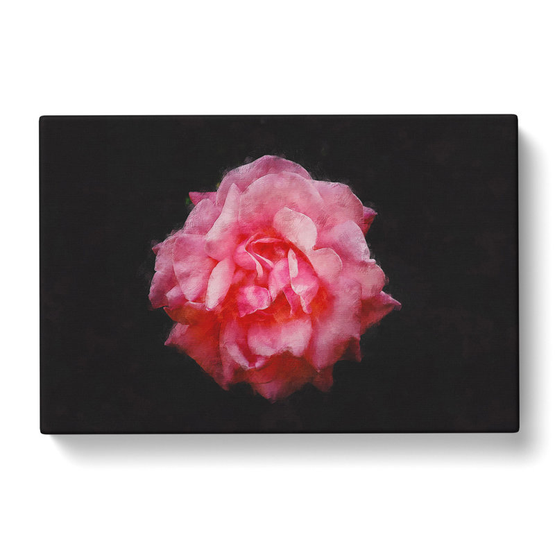 Lone Pink Carnation - Wrapped Canvas Print, 60cm H x 91cm W x 3cm D