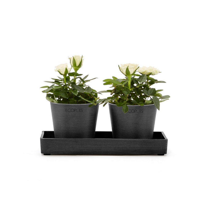 Jardinières en pot, Gris foncé