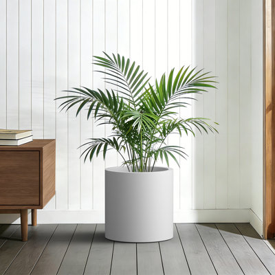 16 po. Grande perle ronde en béton blanc (intérieur amélioré) / pot de fleurs cylindrique rond avec trou de drainage