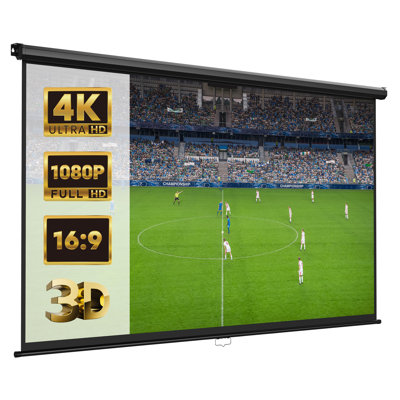 Projektionsleinwand
