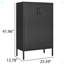 Steel Storage Cabinets Office File Cabinet 2 Movable Partitions