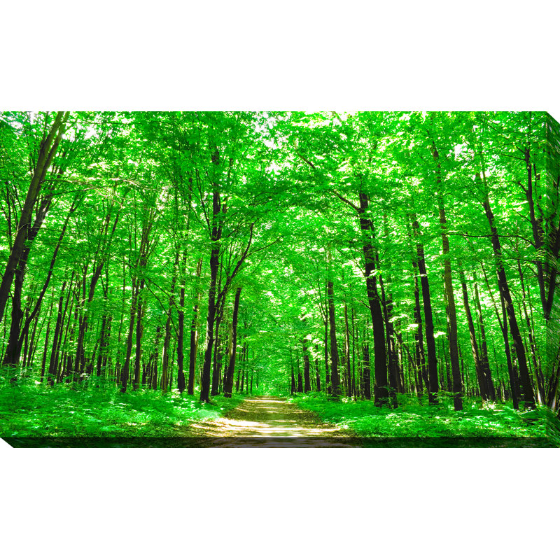 « brillante summer forest ii », reproduction de photo sur toile tendue, H 24 po x l 40 po x P 1 po