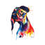 Dachshund - Wrapped Canvas Print-34181188
