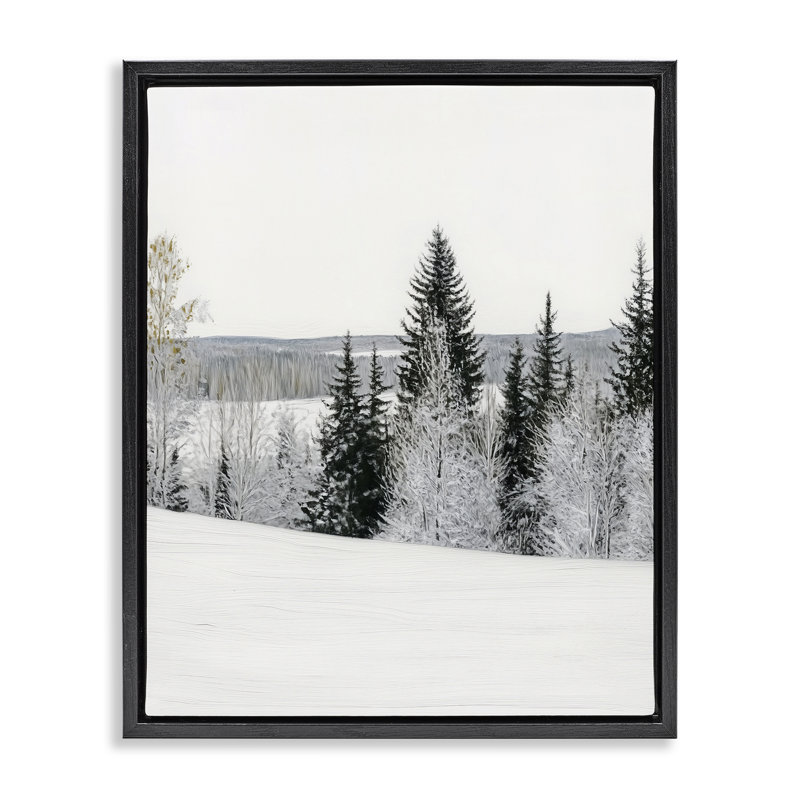 Cadre flottant paysage d'hiver enneigé, design par Arlington Prints, H 31 po x l 25 po, Cadre flottant noir de jais