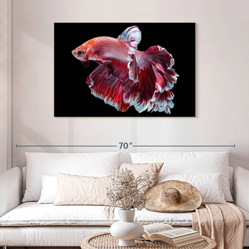 Red And White Betta Fish, 30" H x 45" W