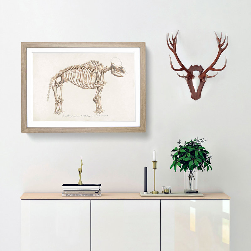 Mammoth Skeleton by Charles d Orbigny - Framed Print, 36cm H x 48cm W x 2cm D, Oak Framed