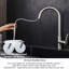 Belfry Kitchen Brambory Touch Kitchen Faucet with Side Spray