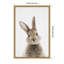 «Peekaboo Bunny» par Lola Peacock, reproduction d'art sur toile encadrée-1720811487