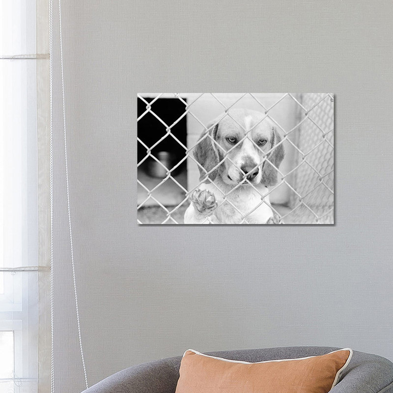 Sad Beagle Dog Looking Through Chain Link Pound Fence by Vintage Images - Wrapped Canvas Print