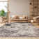Newhouse Oriental Silver/Gray Area Rug