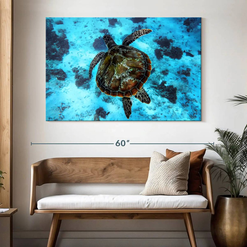 Brampt Turtle Habitat, 34" H x 51" W