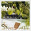 Swimming Pool At Lilly Pulitzer's Giclee Print by Horst P. Horst
