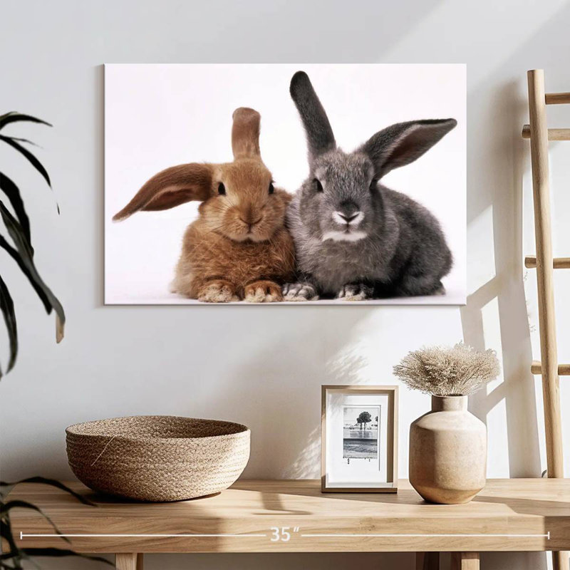 Lapins bruns et gris, H 16 po x l 24 po