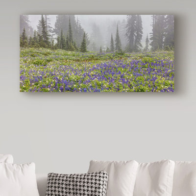 Fabrizzio Pierre Leclerc Mountain Wildflowers - Reproduction de photo sur toile tendue