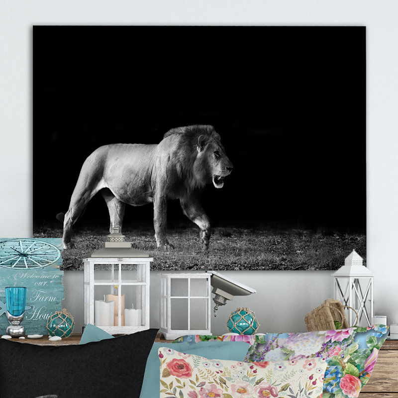 Lion africain en noir et blanc - Photographie sur toile, H 30 po x l 40 po x P 1,5 po, Toile tendue