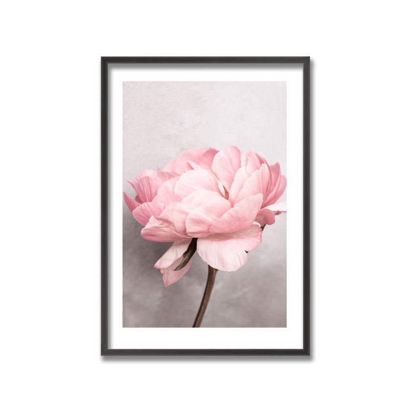 Nature Inspired Peony by  - Picture Frame Photograph on Paper, 24" H x 16" W