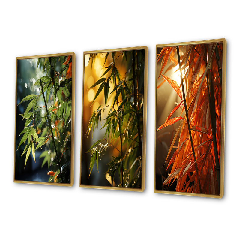 Bamboo Sunset Photography, Cadre flottant doré, H 40 po x l 60 po
