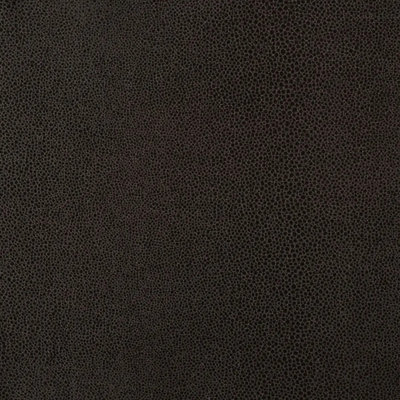 Tissu chagrin brillant